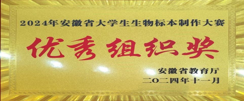 ���ŵ�����Ϸע����38�ʽ�
